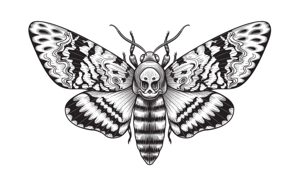 Sphinx Tete De Mort Tatouage