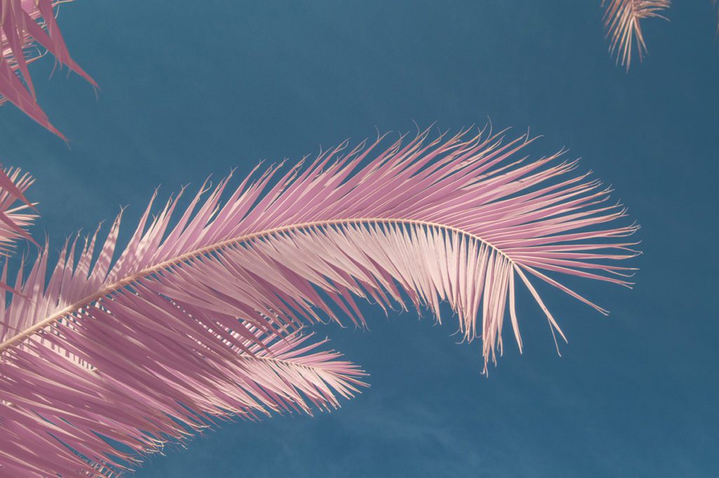 Rome en infra-rouge fait paraitre la ville encore plus merveilleuse ...