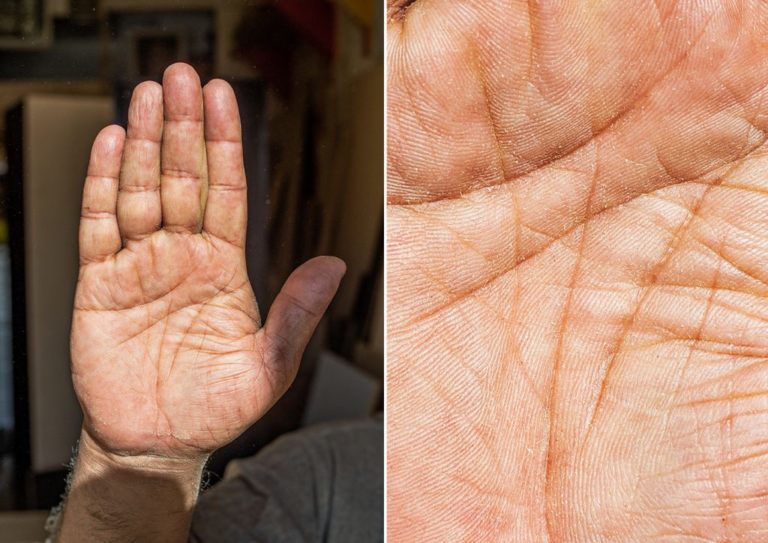 FIGURINE DE DESSIN Animé Girafe Cerf Fantaisiste Sika Pour Décoration