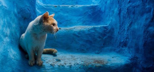 Chefchaouen-la-perle-bleue-du-Maroc-vue-par-Tiago-Tania-4