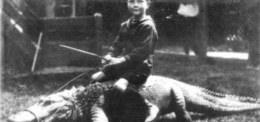 Debut-du-20eme-siecle-les-enfants-jouaient-avec-les-alligators-4