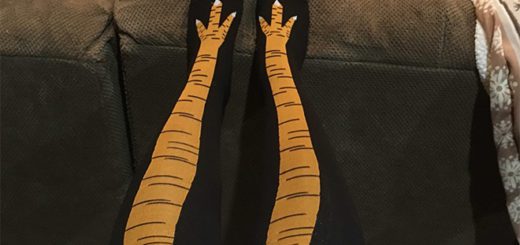 Des-chaussettes-pattes-de-poulet-3