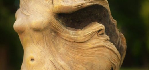 Les-sculptures-de-bois-flotte-de-Debra-Bernier-1